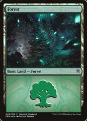 Forest - Golgari (A06) [GRN Ravnica Weekend] | Exor Games Dartmouth