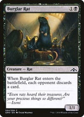 Burglar Rat [Guilds of Ravnica] | Exor Games Dartmouth