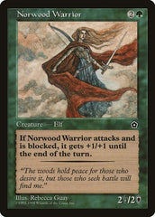 Norwood Warrior [Portal Second Age] | Exor Games Dartmouth