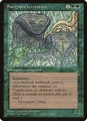 Land Leeches (French) - "Sangsues terrestres" [Renaissance] | Exor Games Dartmouth