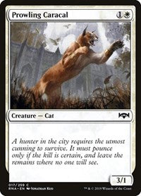 Prowling Caracal [Ravnica Allegiance] | Exor Games Dartmouth