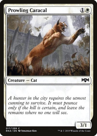 Prowling Caracal [Ravnica Allegiance] | Exor Games Dartmouth