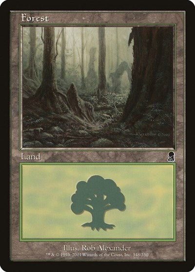 Forest [Odyssey] | Exor Games Dartmouth