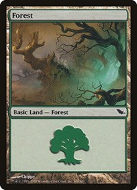 Forest [Shadowmoor] | Exor Games Dartmouth