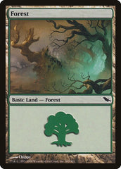 Forest [Shadowmoor] | Exor Games Dartmouth