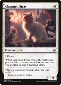 Charmed Stray [War of the Spark] | Exor Games Dartmouth