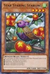 Star Staring Starling [DANE-EN024] Rare | Exor Games Dartmouth