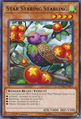 Star Staring Starling [DANE-EN024] Rare | Exor Games Dartmouth