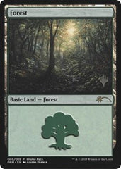 Forest [Promo Pack: Core Set 2020] | Exor Games Dartmouth