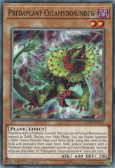 Predaplant Chlamydosundew [LED5-EN051] Common | Exor Games Dartmouth