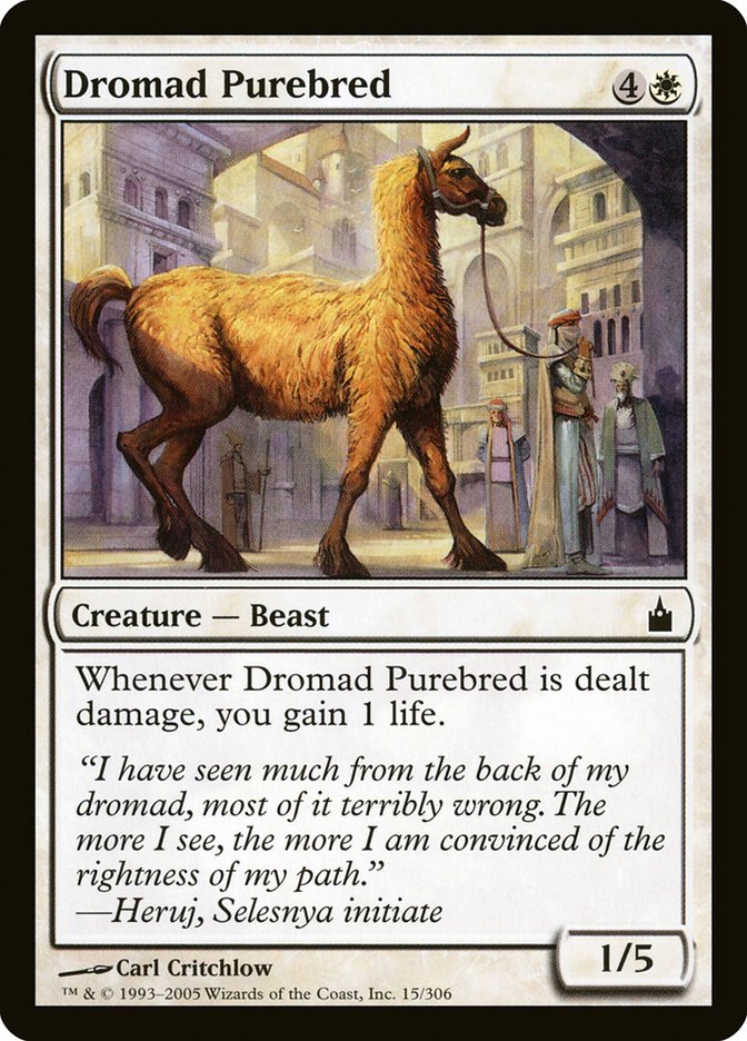Dromad Purebred [Ravnica: City of Guilds] | Exor Games Dartmouth