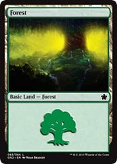 Forest [Magic Game Night 2019] | Exor Games Dartmouth