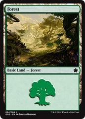 Forest (64) [Magic Game Night 2019] | Exor Games Dartmouth