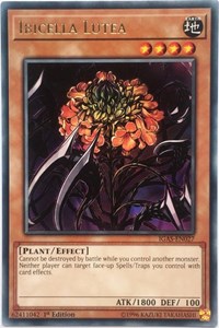 Ibicella Lutea [IGAS-EN027] Rare | Exor Games Dartmouth