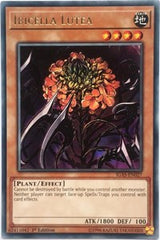 Ibicella Lutea [IGAS-EN027] Rare | Exor Games Dartmouth
