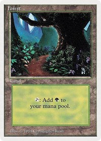 Forest (B) [Summer Magic] | Exor Games Dartmouth