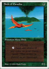 Birds of Paradise [Summer Magic / Edgar] | Exor Games Dartmouth