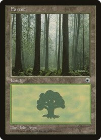 Forest [Portal] | Exor Games Dartmouth