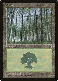 Forest [Portal] | Exor Games Dartmouth