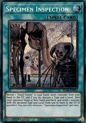 Specimen Inspection [BLAR-EN013] Secret Rare | Exor Games Dartmouth