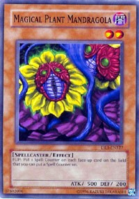 Magical Plant Mandragola [DR1-EN127] Common | Exor Games Dartmouth