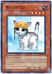 Rescue Cat [DR3-EN153] Common | Exor Games Dartmouth