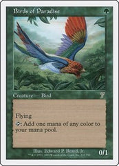 Birds of Paradise [Seventh Edition] | Exor Games Dartmouth