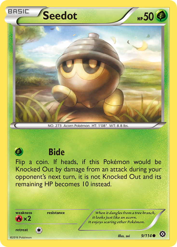 Seedot (9/114) [XY: Steam Siege] | Exor Games Dartmouth
