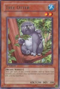 Tree Otter [RGBT-EN095] Rare | Exor Games Dartmouth