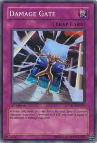 Damage Gate [TSHD-EN070] Super Rare | Exor Games Dartmouth