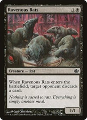 Ravenous Rats [Duel Decks: Garruk vs. Liliana] | Exor Games Dartmouth