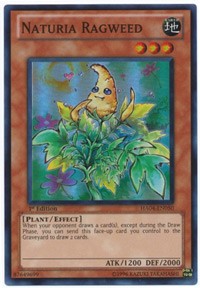 Naturia Ragweed [HA04-EN050] Super Rare | Exor Games Dartmouth