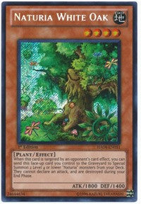 Naturia White Oak [HA04-EN051] Secret Rare | Exor Games Dartmouth