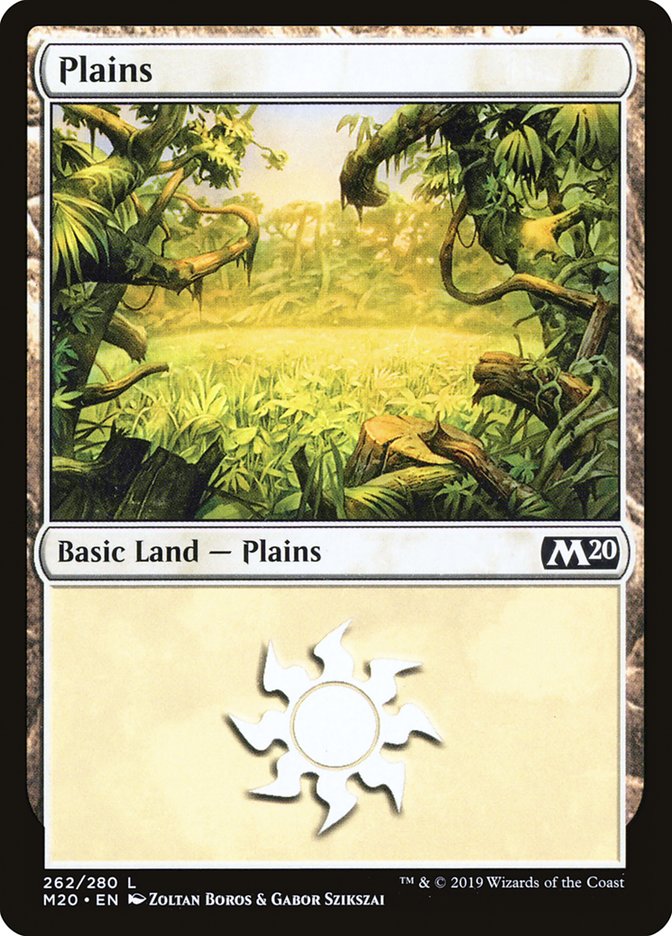 Plains (262) [Core Set 2020] | Exor Games Dartmouth