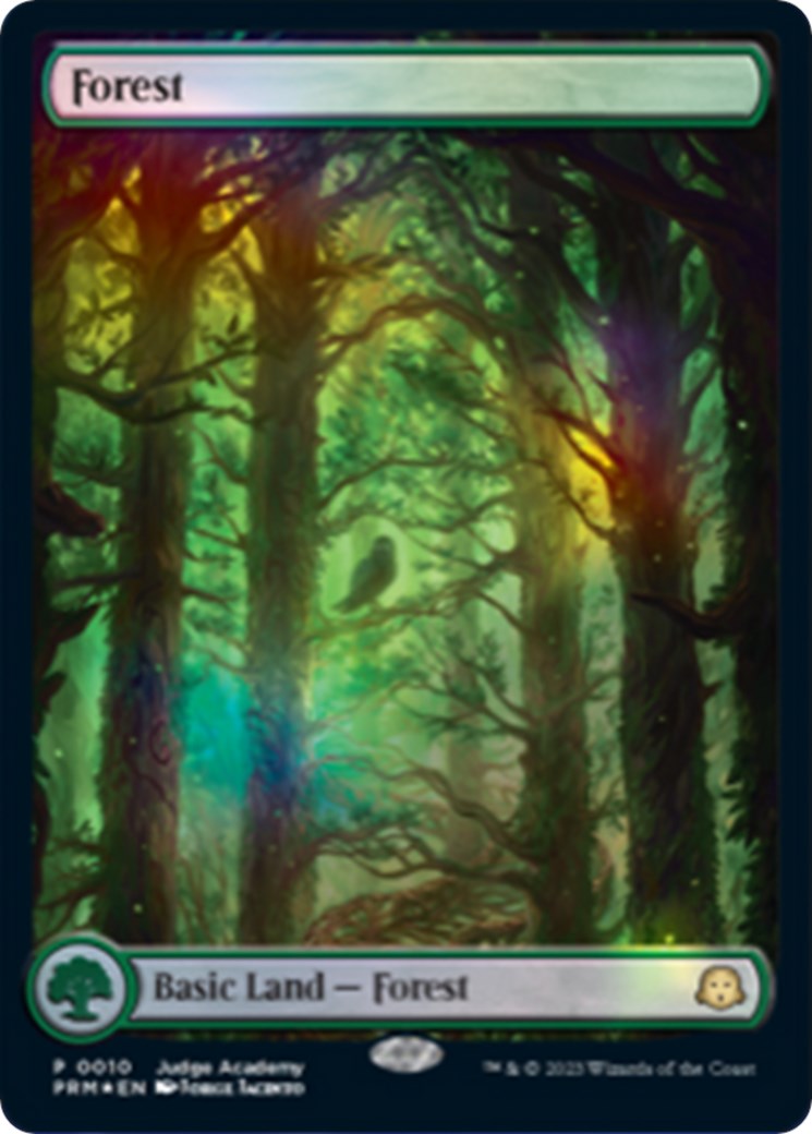 Forest [Judge Gift Cards 2023] | Exor Games Dartmouth