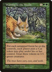 Waiting in the Weeds [Mirage] | Exor Games Dartmouth