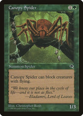 Canopy Spider [Tempest] | Exor Games Dartmouth