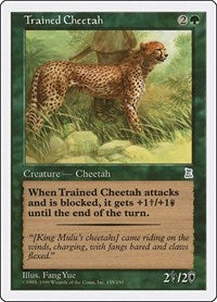 Trained Cheetah [Portal Three Kingdoms] | Exor Games Dartmouth