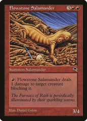 Flowstone Salamander [Tempest] | Exor Games Dartmouth