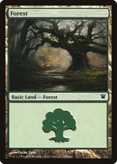 Forest [Innistrad] | Exor Games Dartmouth