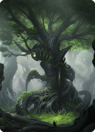 Forest Art Card [The Brothers' War Art Series] | Exor Games Dartmouth