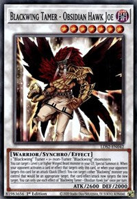 Blackwing Tamer - Obsidian Hawk Joe [LDS2-EN042] Common | Exor Games Dartmouth