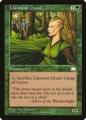 Llanowar Druid [Weatherlight] | Exor Games Dartmouth