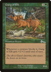 Gang of Elk [Urza's Legacy] | Exor Games Dartmouth