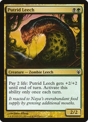 Putrid Leech [Duel Decks: Izzet vs. Golgari] | Exor Games Dartmouth
