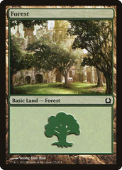 Forest [Return to Ravnica] | Exor Games Dartmouth