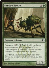 Drudge Beetle [Return to Ravnica] | Exor Games Dartmouth