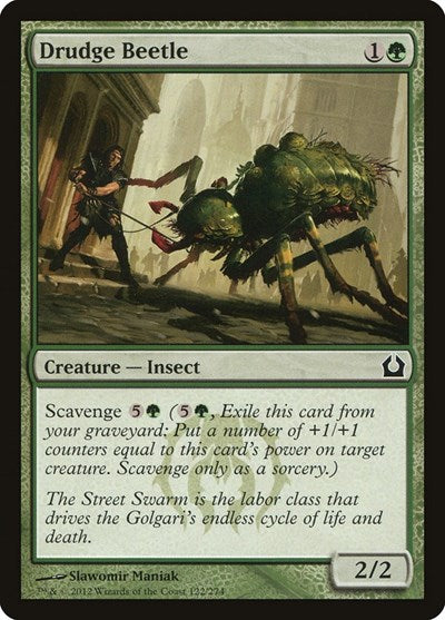 Drudge Beetle [Return to Ravnica] | Exor Games Dartmouth