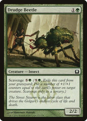 Drudge Beetle [Return to Ravnica] | Exor Games Dartmouth