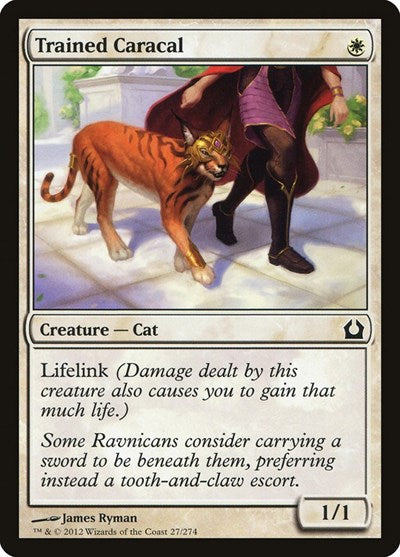 Trained Caracal [Return to Ravnica] | Exor Games Dartmouth